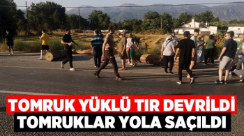 Tomruk Yüklü Tır Devrildi, Tomruklar Yola Saçıldı